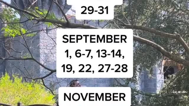 DisneylandCheapest Days to Visit