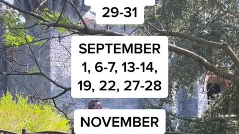 DisneylandCheapest Days to Visit