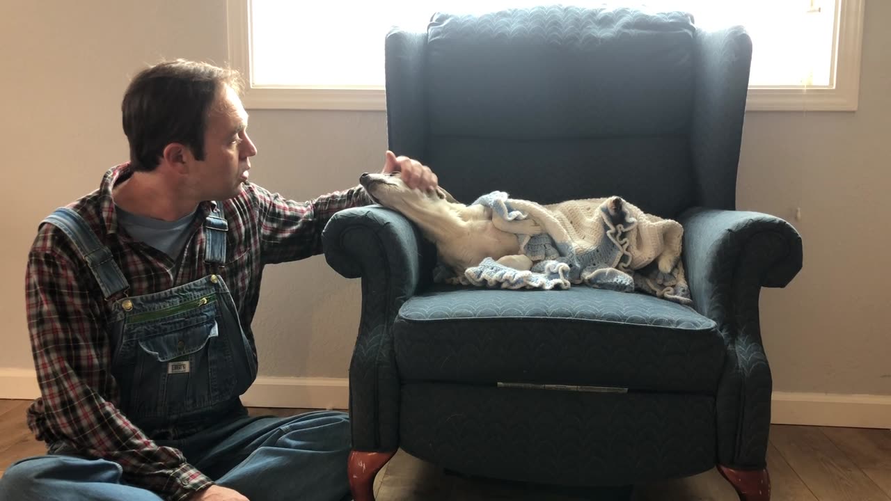 Resting Spot