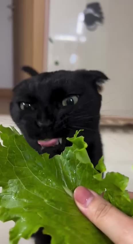 New week new healthier diet plans 😂