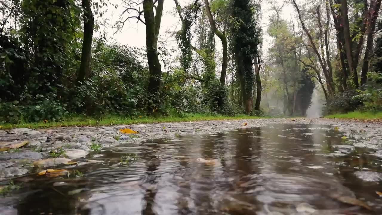 Sounds of rain ...! Music for meditation with relaxing sleep!