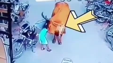 Nice video@@