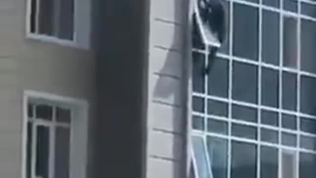Hero climbs out his 8th floor window to save 3 year old hanging out of a window above!