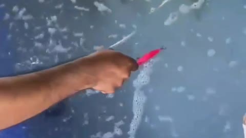 This is a beautiful and charming water-dwelling species