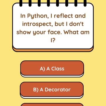 Python's Mirror - Coding Riddles