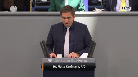 Dr. Malte Kaufmann Rede vom 18.03.2022 - Transatlantische Wirtschafts- und Handelspolitik