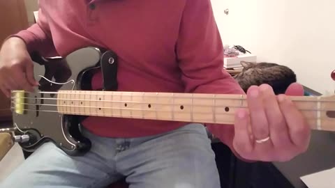 Devo - Gates Of Steel Bass Cover