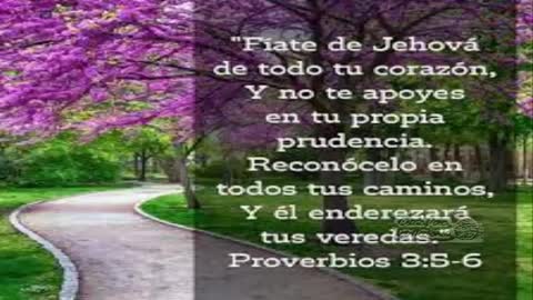 ¡ MI Confianza esta en Jesucristo !