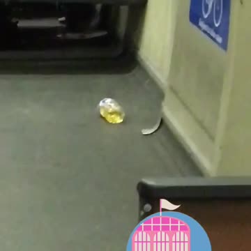 Fremont zoom in on bottle on pee on subway