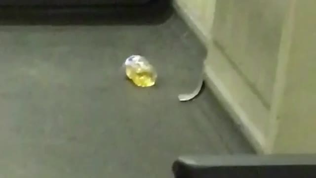 Fremont zoom in on bottle on pee on subway