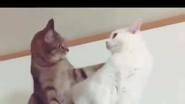 Love is common to anyone