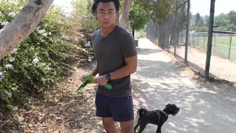 SECRET SCENES - My Dog WALKS ME For 24 Hours