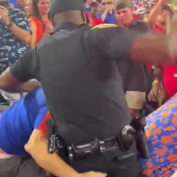 Jacksonville Sheriff's Office issues statement after altercation between police and fans goes viral