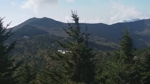 Up the Trail to the Mt Mitchell Summit North Carolina