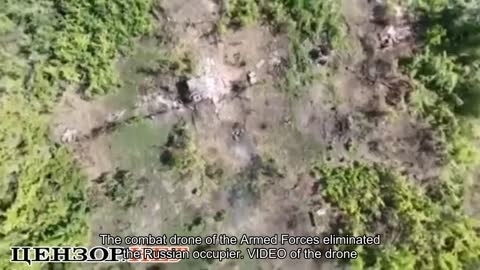 The combat drone of the Armed Forces eliminated the Russian occupier. VIDEO of the drone