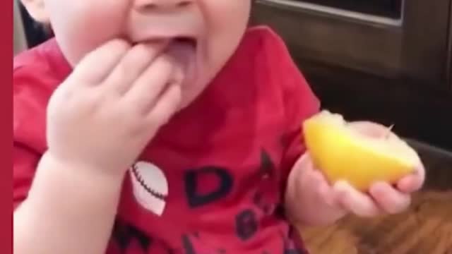 smart and little baby taste lemon first time