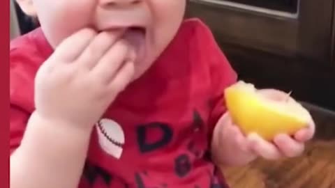 smart and little baby taste lemon first time