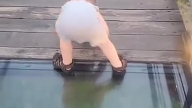 Toddler Attempts to cross... Onto Glass bridge 🌉