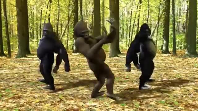 Monkey funny dance comedy video