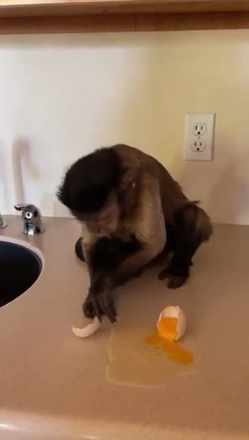 I’m in trouble I didn’t wait!! But I was just trying to make my own breakfast I’m almost 10!!