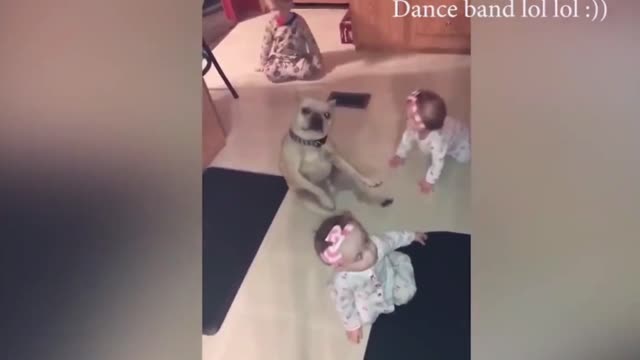 Dogs are the best friend of Babies 33