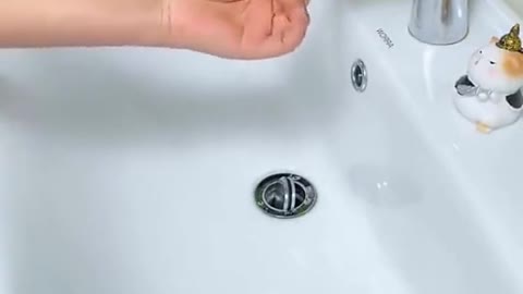 Funny cat Video