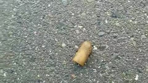 Comedy sketch guy finds finger on floor