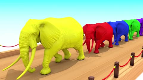 Oid MacDonald had a farm, nursery rhymes wildlifesongs with form animals are transformed into