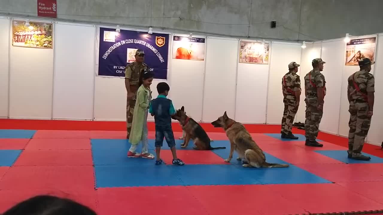 Dog training in cisf camp