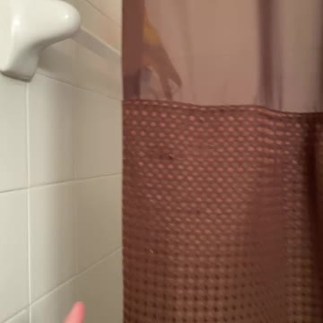 Parrot stays in the shower for the steam