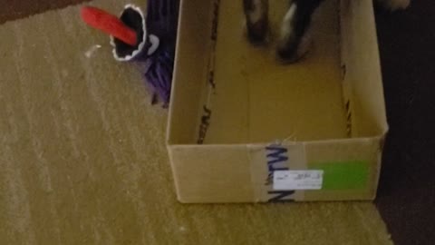 This is Chuie's box