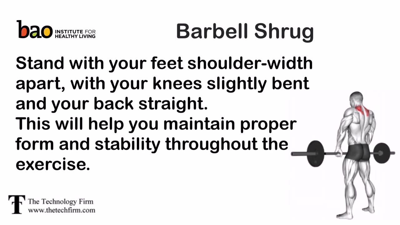 Barbell Shrug