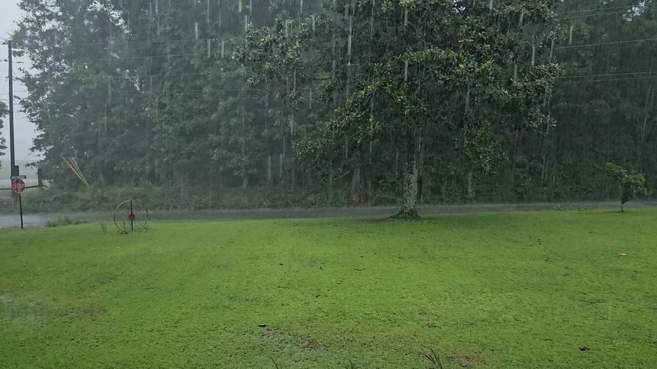 GSG storm watching 160623