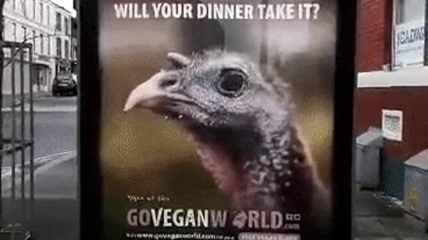 Will your dinner take it..?