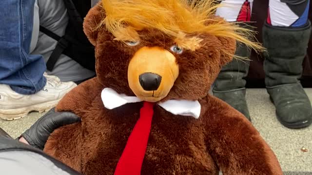 Trumpy Bear at Capitol