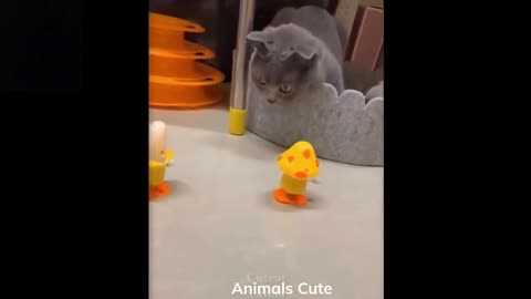 Cute and funny animals 05