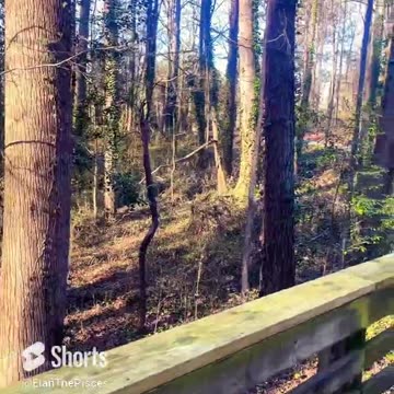 pisces just keep going