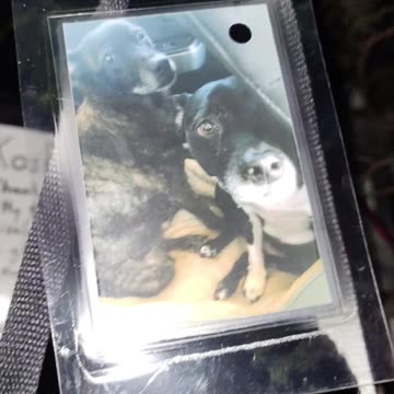 Árbol de Navidad con animales en Nueva York.