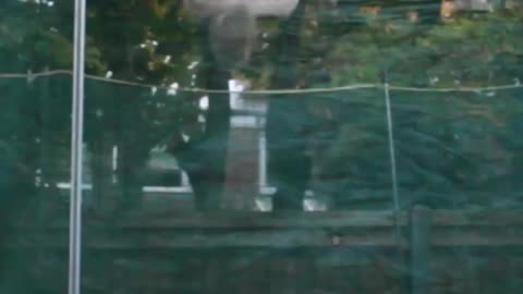 Chill double backflip x2