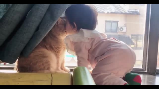 Cute Baby Girl Loving with her Cute Cat