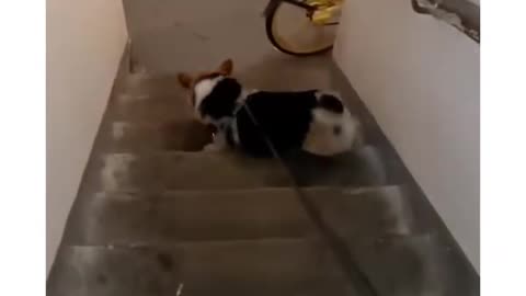 i feel bad for laughing