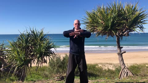 Lotus Tai Chi Qigong Short performance at Wooli Beach