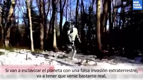 ¿Se está repitiendo un nuevo reinicio de la humanidad?