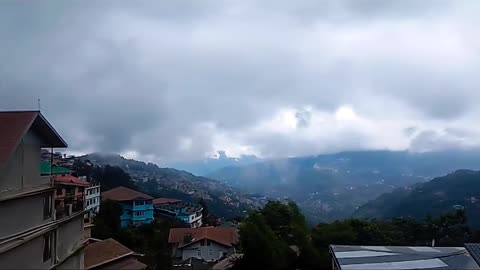 Nature view