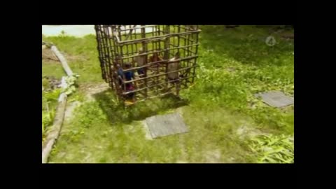 Robinson S12E04