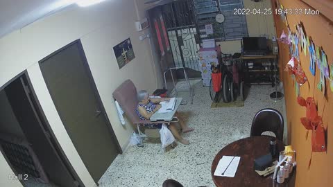 hallback day n night 20220425