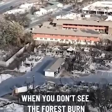 Fire Expert Exposes Maui Lahaina Fires in Hawaii