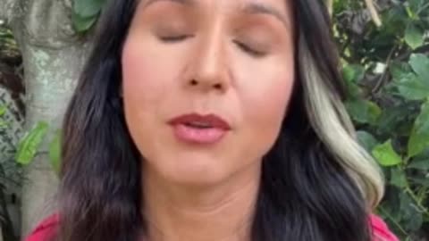 Mitt Romney Called Gabbard Traitorous For Saying Her Mind