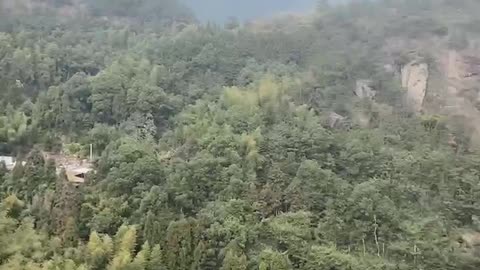 deep mountains and forests