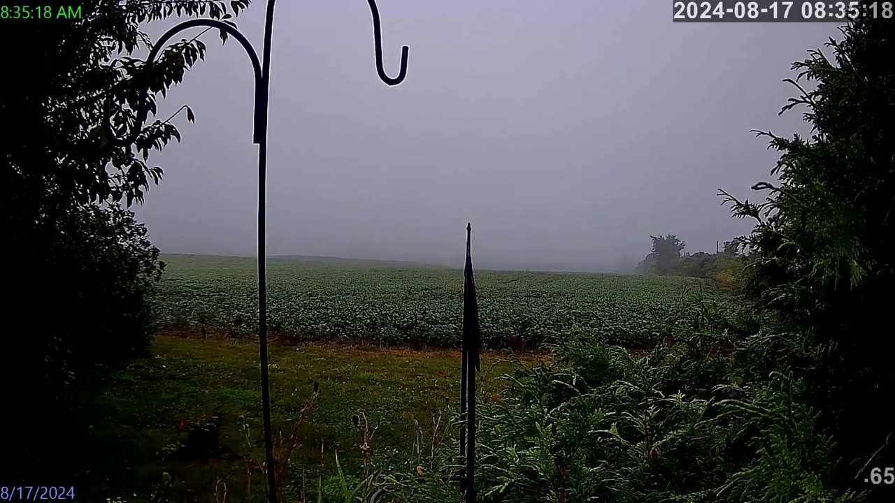 2024 08 17 Georgetown Timelapse